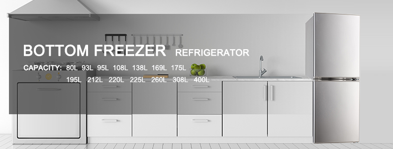 Bottom-freezer -1